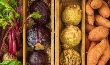 Photo Canned cabbage