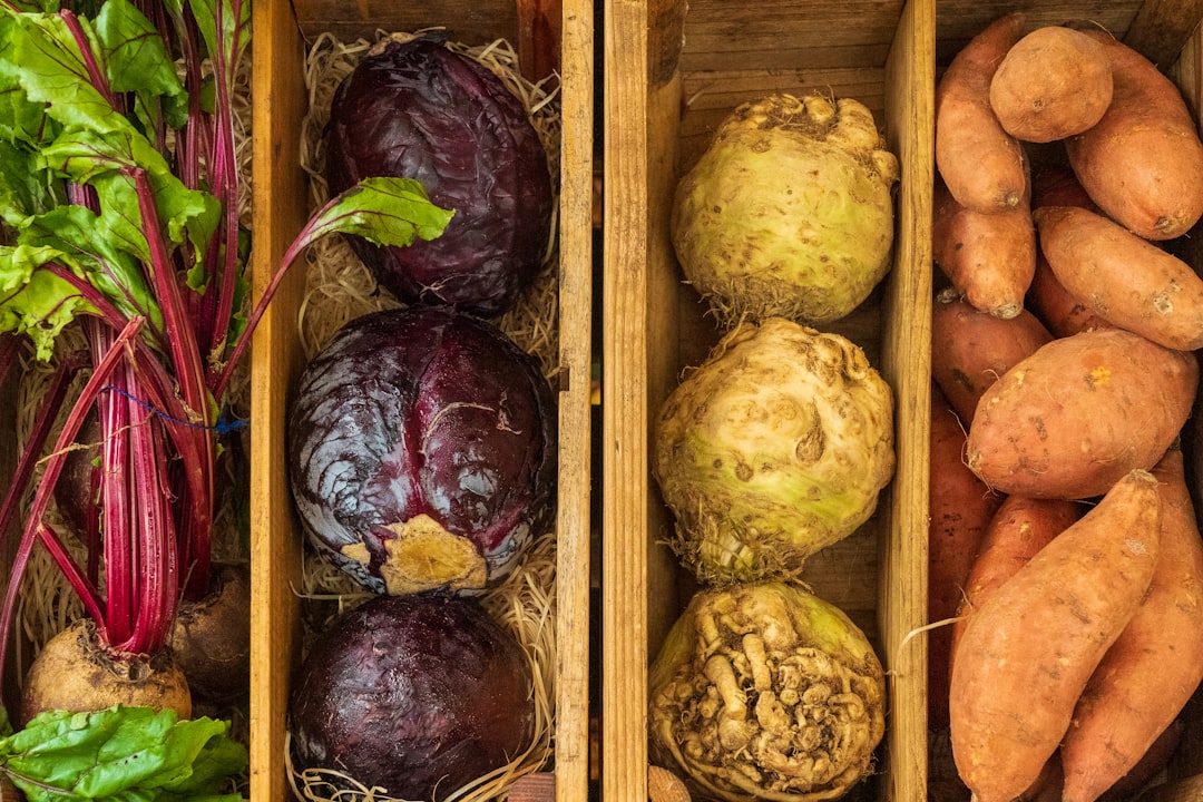 Photo Canned cabbage